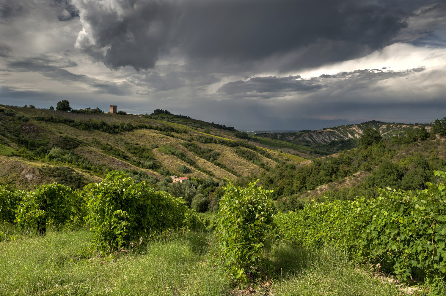 Sui passi ravennati di Dante | Consorzio Vini di Romagna